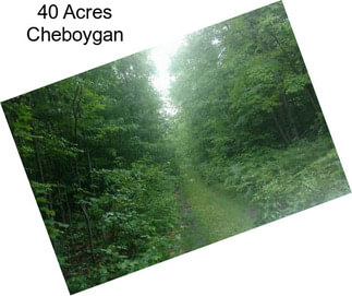 40 Acres Cheboygan