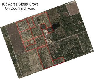 106 Acres Citrus Grove On Dog Yard Road