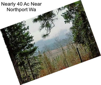 Nearly 40 Ac Near Northport Wa