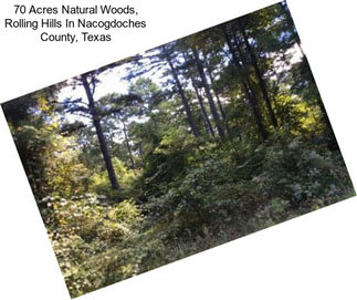 70 Acres Natural Woods, Rolling Hills In Nacogdoches County, Texas