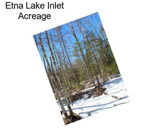 Etna Lake Inlet Acreage