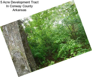 5 Acre Development Tract In Conway County Arkansas