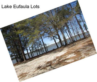 Lake Eufaula Lots