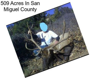 509 Acres In San Miguel County