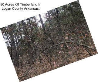 80 Acres Of Timberland In Logan County Arkansas.