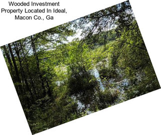 Wooded Investment Property Located In Ideal, Macon Co., Ga