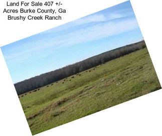 Land For Sale 407 +/- Acres Burke County, Ga Brushy Creek Ranch
