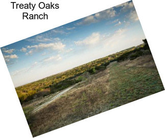 Treaty Oaks Ranch