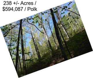 238 +/- Acres / $594,087 / Polk