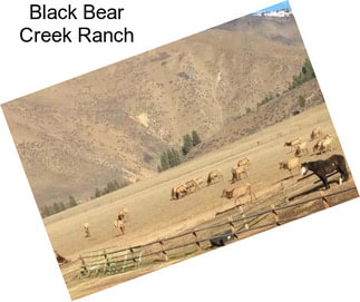 Black Bear Creek Ranch