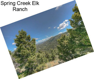 Spring Creek Elk Ranch