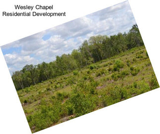 Wesley Chapel Residential Development