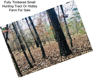 Fully Timbered Small Hunting Tract Or Hobby Farm For Sale