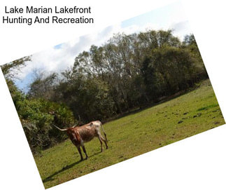 Lake Marian Lakefront Hunting And Recreation
