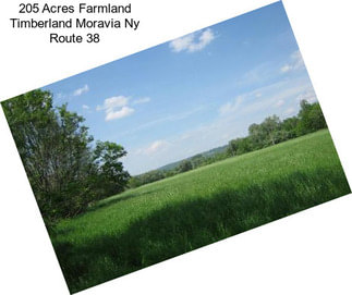 205 Acres Farmland Timberland Moravia Ny Route 38