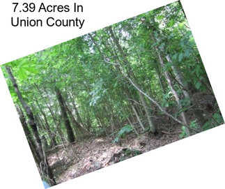 7.39 Acres In Union County