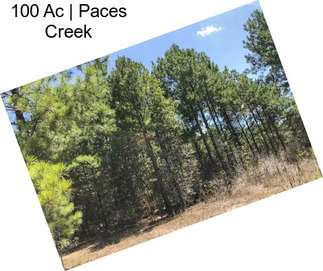 100 Ac | Paces Creek