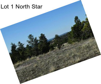 Lot 1 North Star