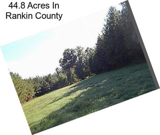 44.8 Acres In Rankin County