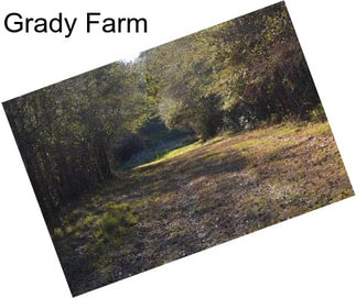 Grady Farm