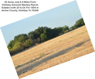 20 Acres Just 4.5 Miles From Holliday Schools! Mackey Ranch Estates \