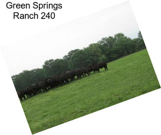 Green Springs Ranch 240