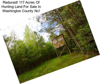 Reduced! 117 Acres Of Hunting Land For Sale In Washington County Nc!