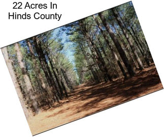 22 Acres In Hinds County