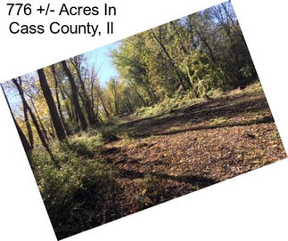 776 +/- Acres In Cass County, Il