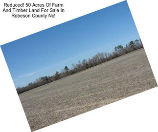 Reduced! 50 Acres Of Farm And Timber Land For Sale In Robeson County Nc!