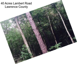 40 Acres Lambert Road Lawrence County