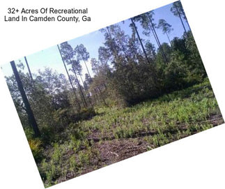 32+ Acres Of Recreational Land In Camden County, Ga