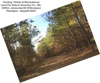 Hunting, Timber & Recreational Land For Sale In Noxubee Co., Ms- 2950+/- Acres-tract B Of Brookson Plantation - Mopls#15647