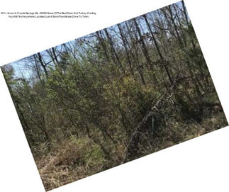 80+/- Acres In Crystal Springs Ms, 39059 Some Of The Best Deer And Turkey Hunting You Will Find Anywhere, Located Just A Short Five Minute Drive To Town.