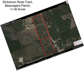 Dickerson Road Tract, Beauregard Parish, +/-30 Acres