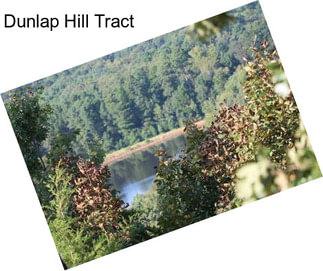 Dunlap Hill Tract