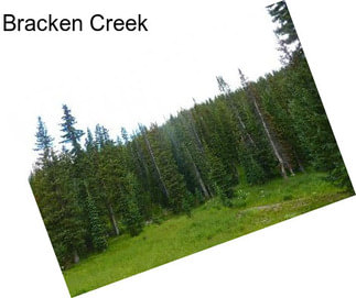 Bracken Creek