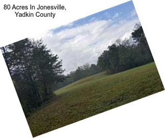 80 Acres In Jonesville, Yadkin County