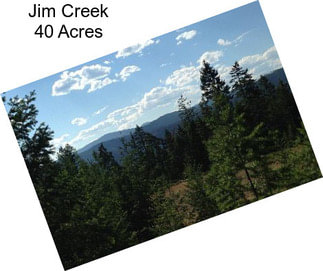 Jim Creek 40 Acres