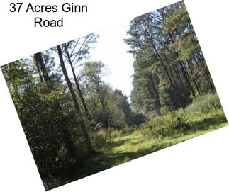 37 Acres Ginn Road