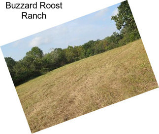Buzzard Roost Ranch