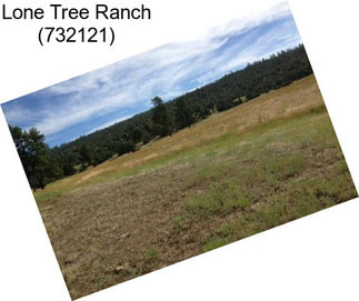 Lone Tree Ranch (732121)