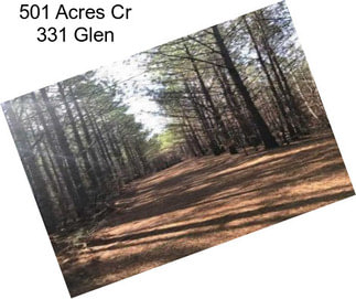 501 Acres Cr 331 Glen