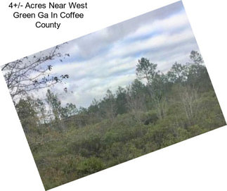 4+/- Acres Near West Green Ga In Coffee County