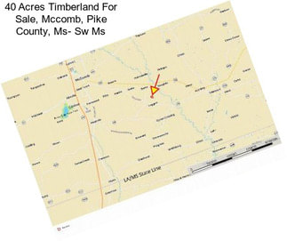 40 Acres Timberland For Sale, Mccomb, Pike County, Ms- Sw Ms