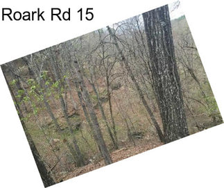 Roark Rd 15