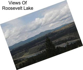 Views Of Roosevelt Lake