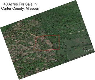 40 Acres For Sale In Carter County, Missouri