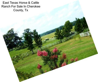 East Texas Horse & Cattle Ranch For Sale In Cherokee County, Tx