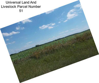 Universal Land And Livestock Parcel Number 51
